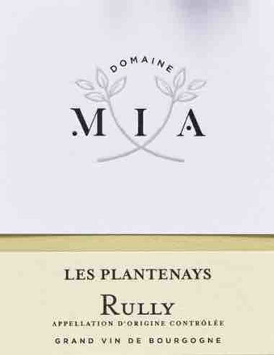 Uploaded via GraphQL script