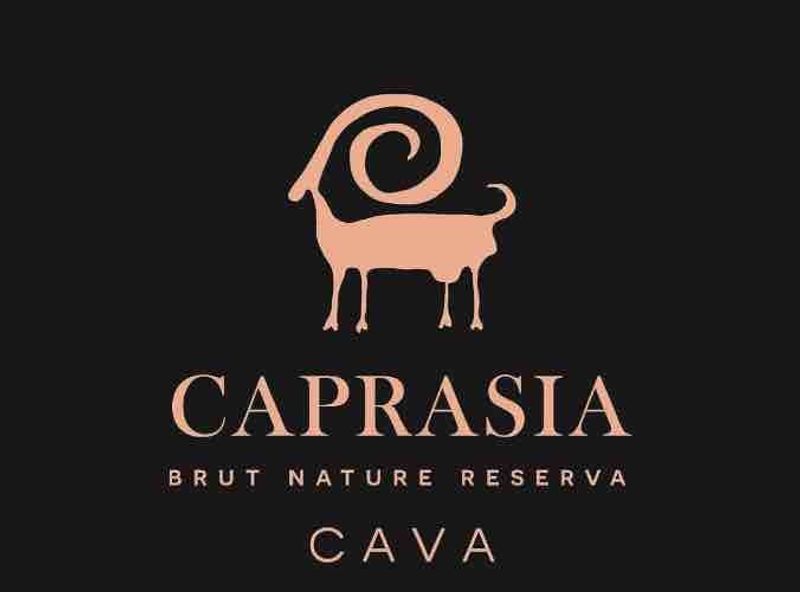 Uploaded via GraphQL script