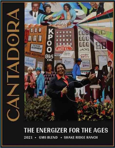 Uploaded via GraphQL script