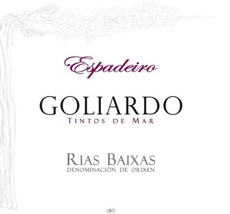 Forjas del Salnes Proprietary Red ‘Goliardo - Tintos de Mar’ Rias Baixas 2022