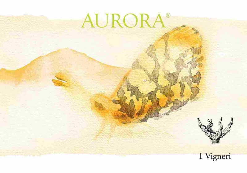 I Vigneri Salvo Foti Etna Bianco &