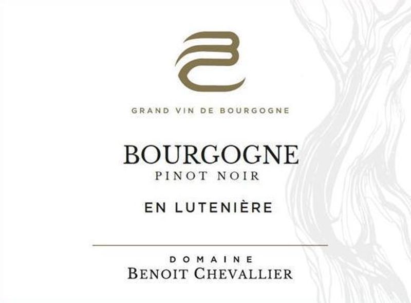 Benoit Chevallier Bourgogne Pinot Noir &