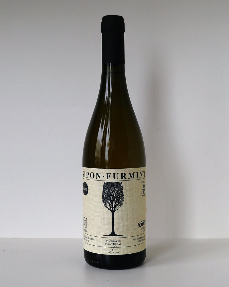 Kobal Sipon-Furmint Stajerska Slovenia 2022