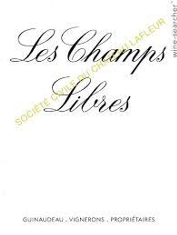Chateau Grand Village Bordeaux Blanc 2021