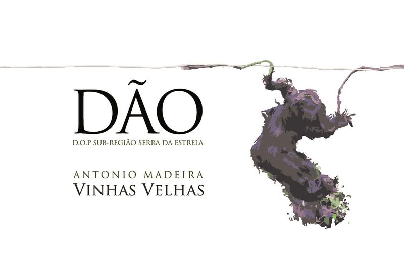 Antonio Madeira Branco Dao 2022