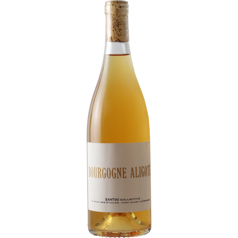 Santini Collective Bourgogne Aligote 2019-Wine-Verve Wine