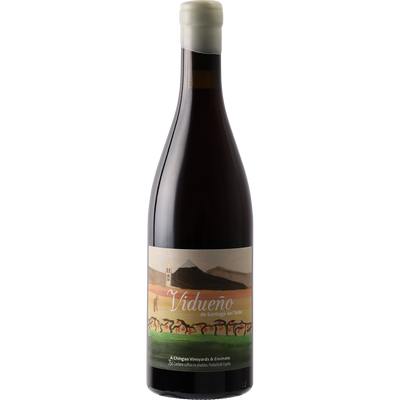 Envinate Canary Islands 'Vidueno de Santiago del Teide' 2017-Wine-Verve Wine