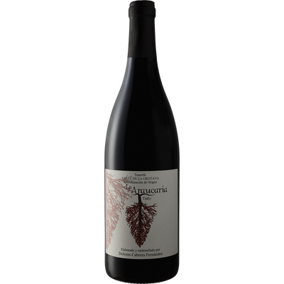 Dolores Cabrera Fernandez Canary Islands Tinto 'La Araucaria' 2016-Wine-Verve Wine