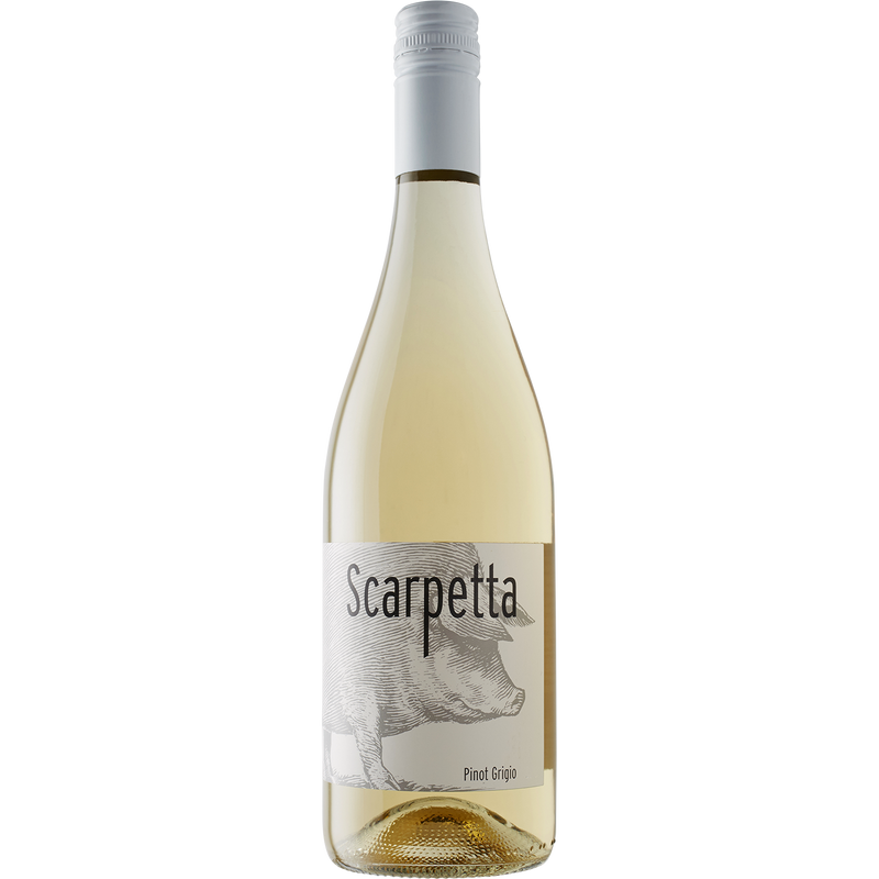 Scarpetta Venezia-Giulia Pinot Grigio 2017-Wine-Verve Wine