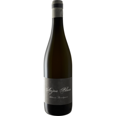 Thibaud Boudignon Anjou Blanc 2017-Wine-Verve Wine