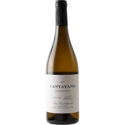 Cantalapiedra Viticultores Castilla y Leon Blanco 'Cantayano' 2018-Wine-Verve Wine