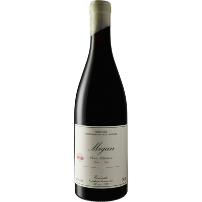 Envinate Canary Islands Tinto 'Migan' 2019-Wine-Verve Wine