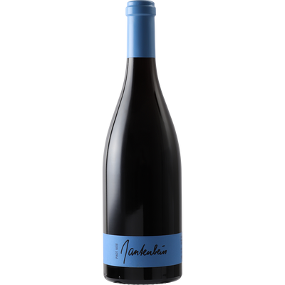 Gantenbein Pinot Noir Graubunden 2016-Wine-Verve Wine