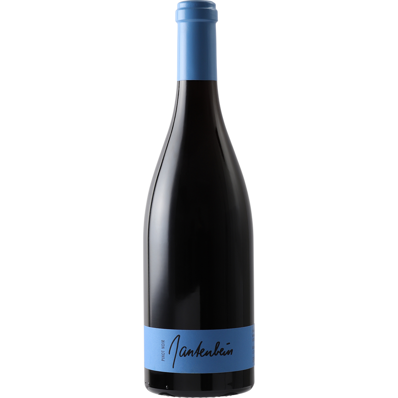 Gantenbein Pinot Noir Graubunden 2016-Wine-Verve Wine