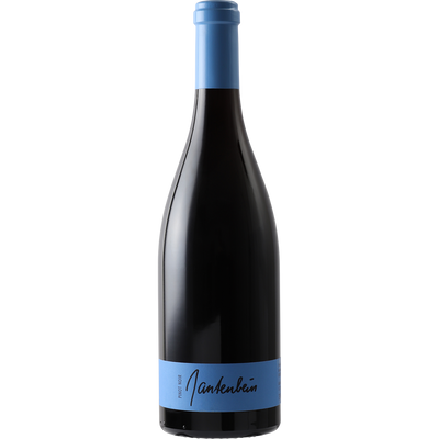 Gantenbein Pinot Noir Graubunden 2018-Wine-Verve Wine