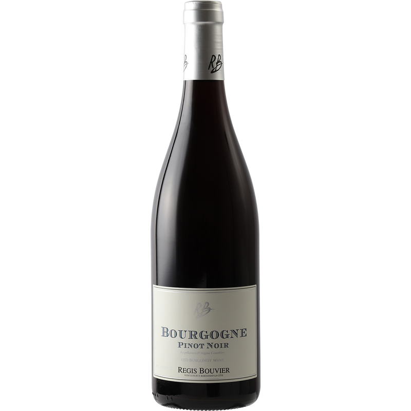 Regis Bouvier Bourgogne Rouge 2018-Wine-Verve Wine