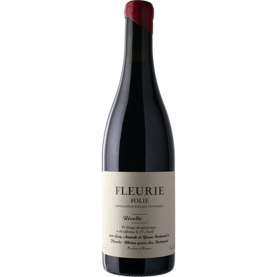 Yann Bertrand Fleurie 'Folie' 2019-Wine-Verve Wine