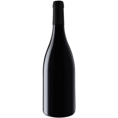 Regis Bouvier Gevrey-Chambertin 2017-Wine-Verve Wine