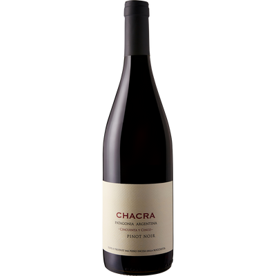 Chacra Pinot Noir 'Cincuenta y Cinco' 2016-Wine-Verve Wine