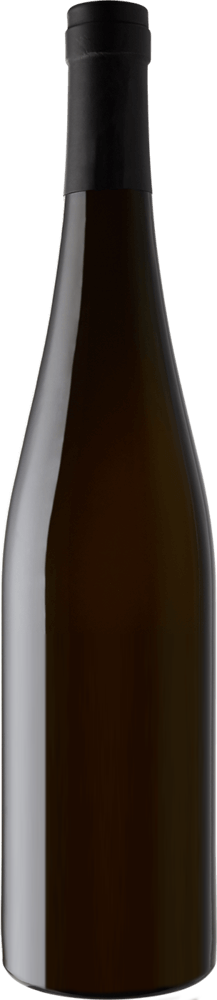 Keller Spatburgunder 'Burgel GG' Rheinhessen 2019-Wine-Verve Wine