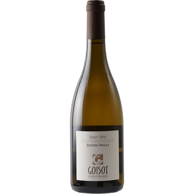 Goisot Saint-Bris 'Exogyra Virgula' 2021-Wine-Verve Wine