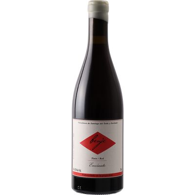 Envinate Vinos Atlanticos Tinto 'Benje' 2021-Wine-Verve Wine