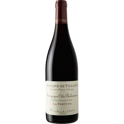 Domaine de Villaine Bourgogne Cote Chalonnaise Rouge 'La Fortune' 2020-Wine-Verve Wine
